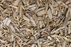 biomass boilers Ceidio